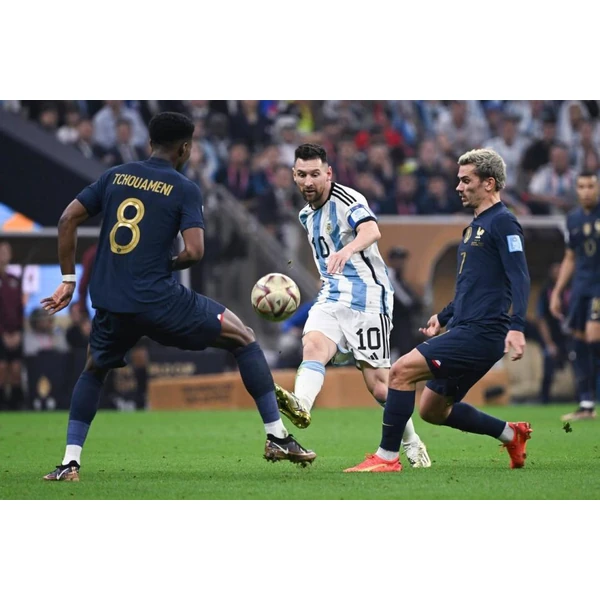 MK体育 APP - MKsports