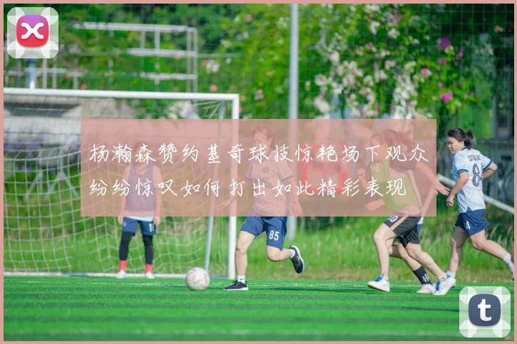 杨瀚森赞约基奇球技惊艳场下观众纷纷惊叹如何打出如此精彩表现
