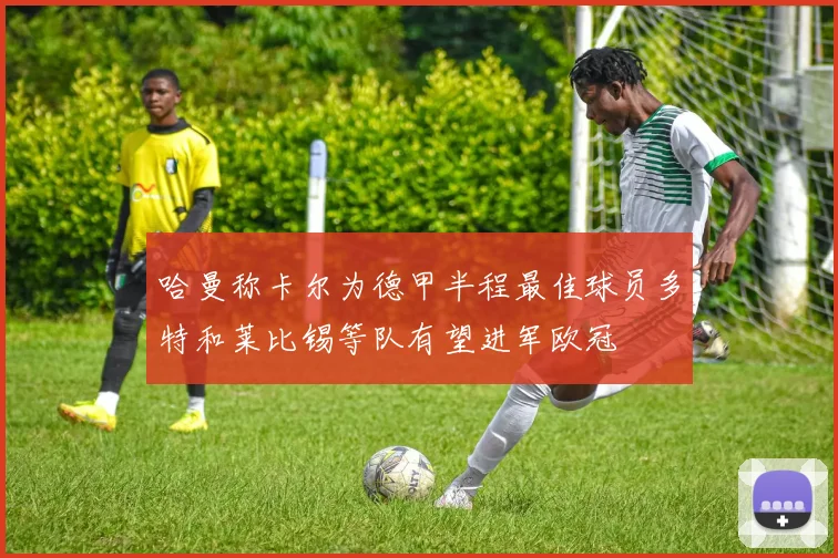 哈曼称卡尔为德甲半程最佳球员多特和莱比锡等队有望进军欧冠
