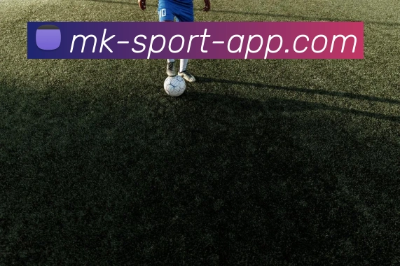 MK体育平台生态图